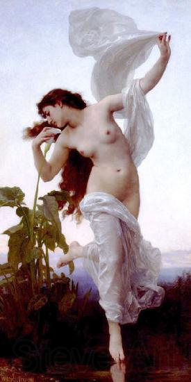 William-Adolphe Bouguereau Dawn France oil painting art